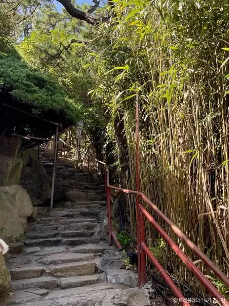 Uneven stone steps and a red handrail turn through bamboo and trees on the 108-step route at Haedong Yonggungsa