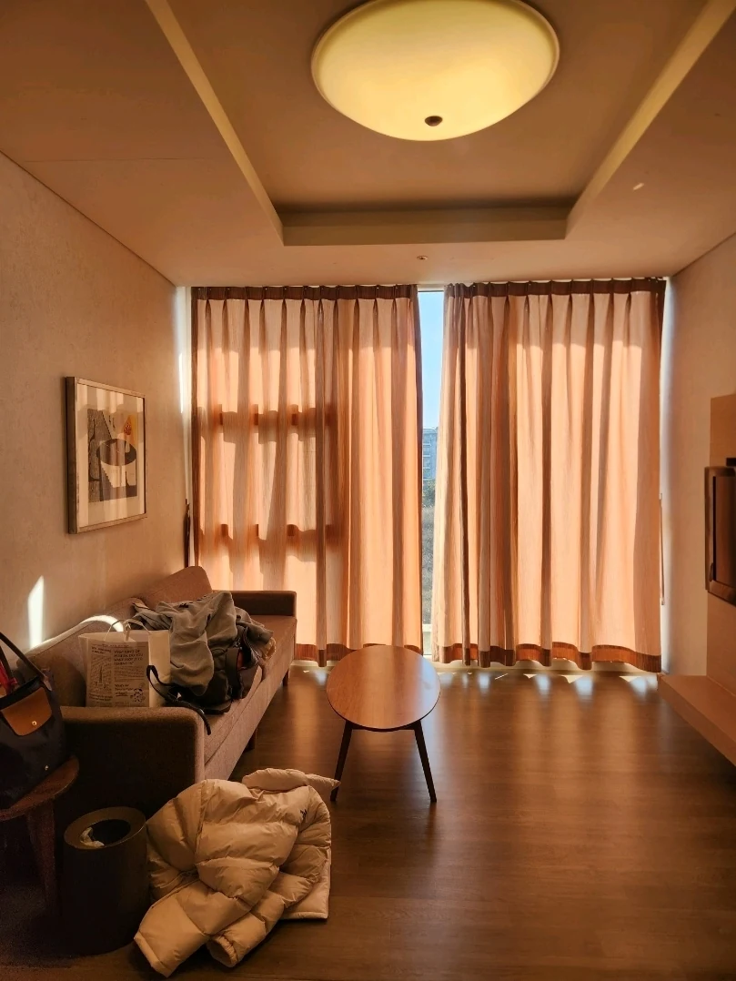 Phoenix Island Jeju Royal Room living room