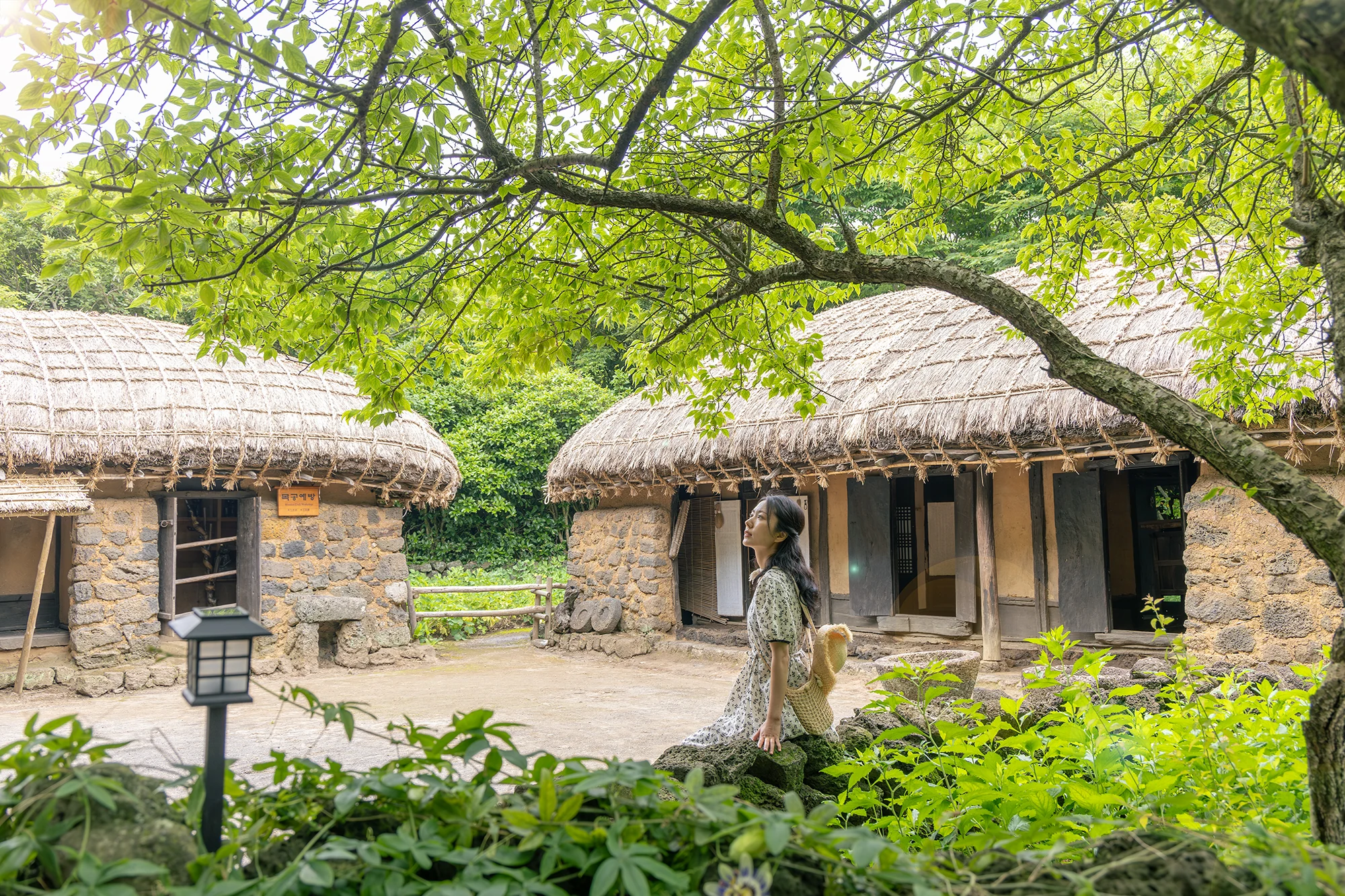 Real Korea travel scene related to Jeju Folk Village Tickets: Same Gate, Four Different Products 2