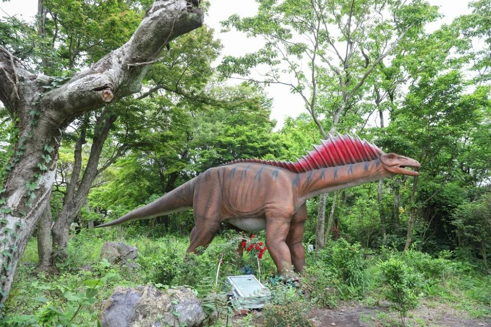 Real dinosaur area from KKday Forest Dinosaur Safari exact product 103196
