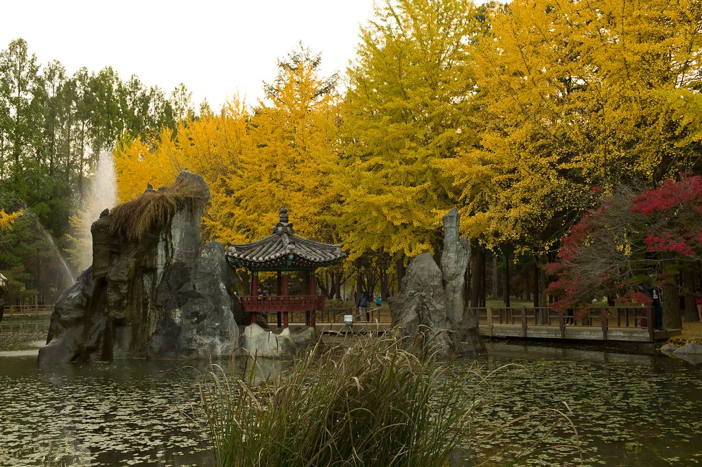 Real Korea travel scene related to October Seoul: Nami Island or a city foliage day? 2