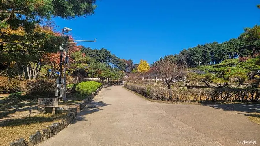 Garden path and pine trees at Seongyojang House
