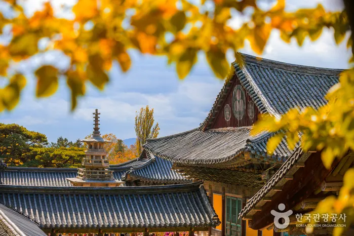 Bulguksa Temple in Gyeongju in autumn