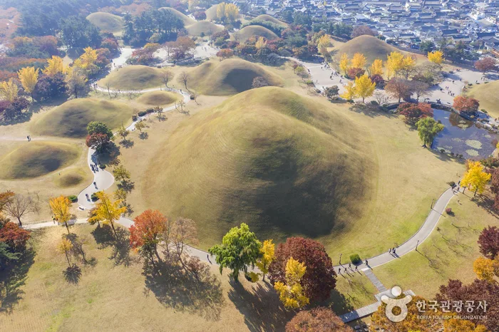 Aerial view of Silla burial mounds, paths and autumn trees at Gyeongju Daereungwon