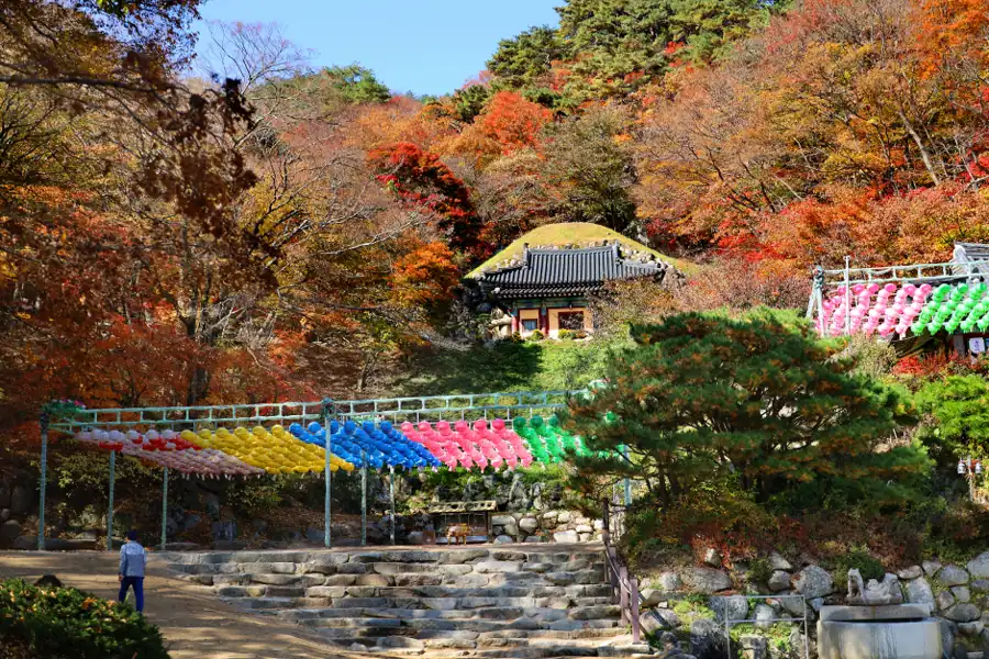 Stone steps and a temple building among autumn trees on Mount Tohamsan