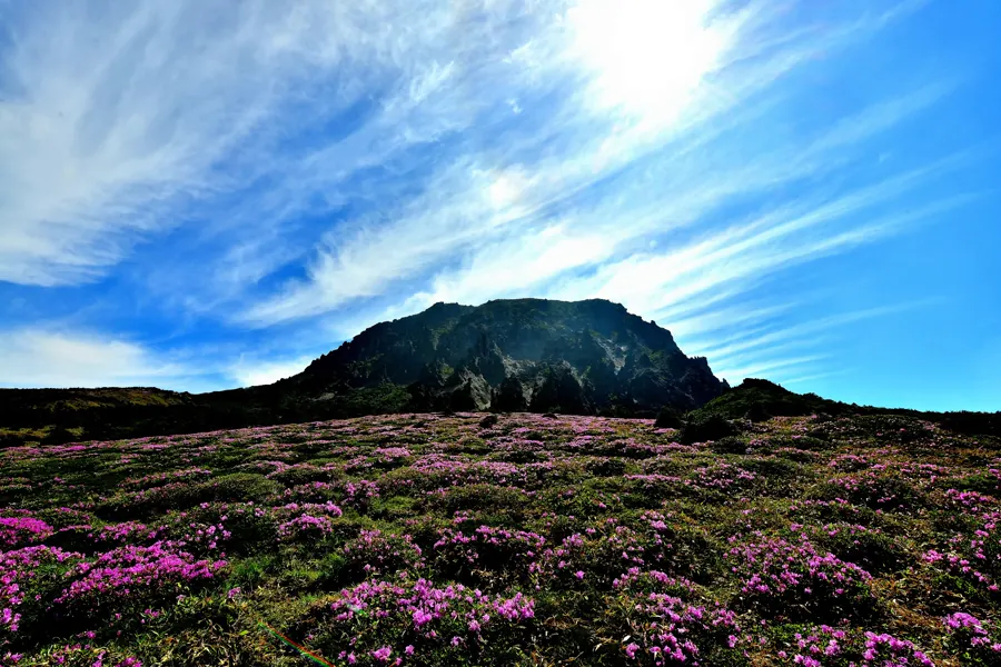 Real Korea travel scene related to Where to stay in Jeju: choose the direction you do not want to drive back from every night 1