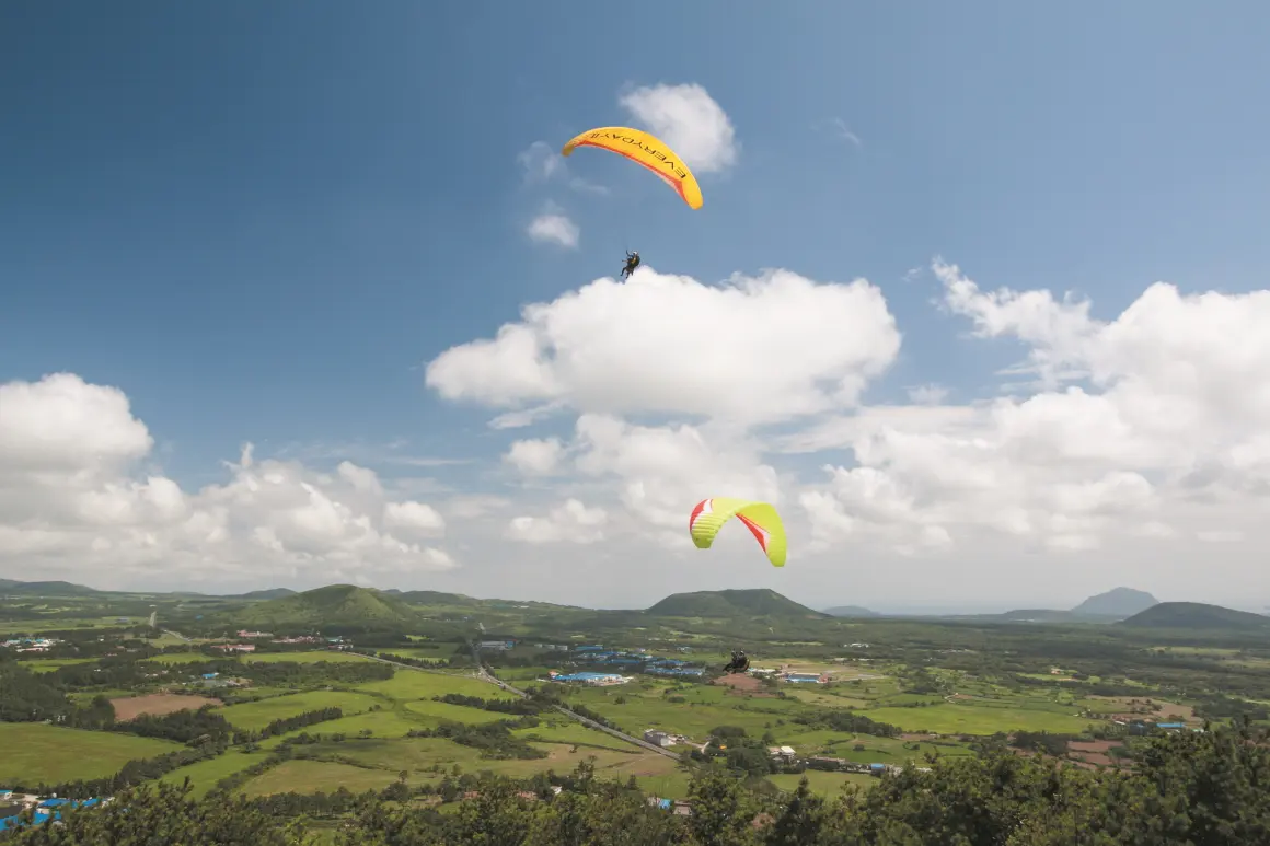 Tandem paragliders above a Jeju oreum and field
