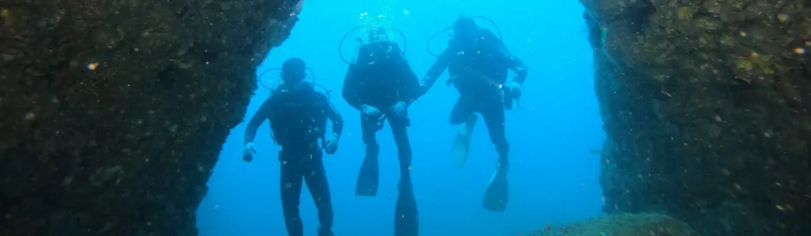 Scuba diving in Jeju waters