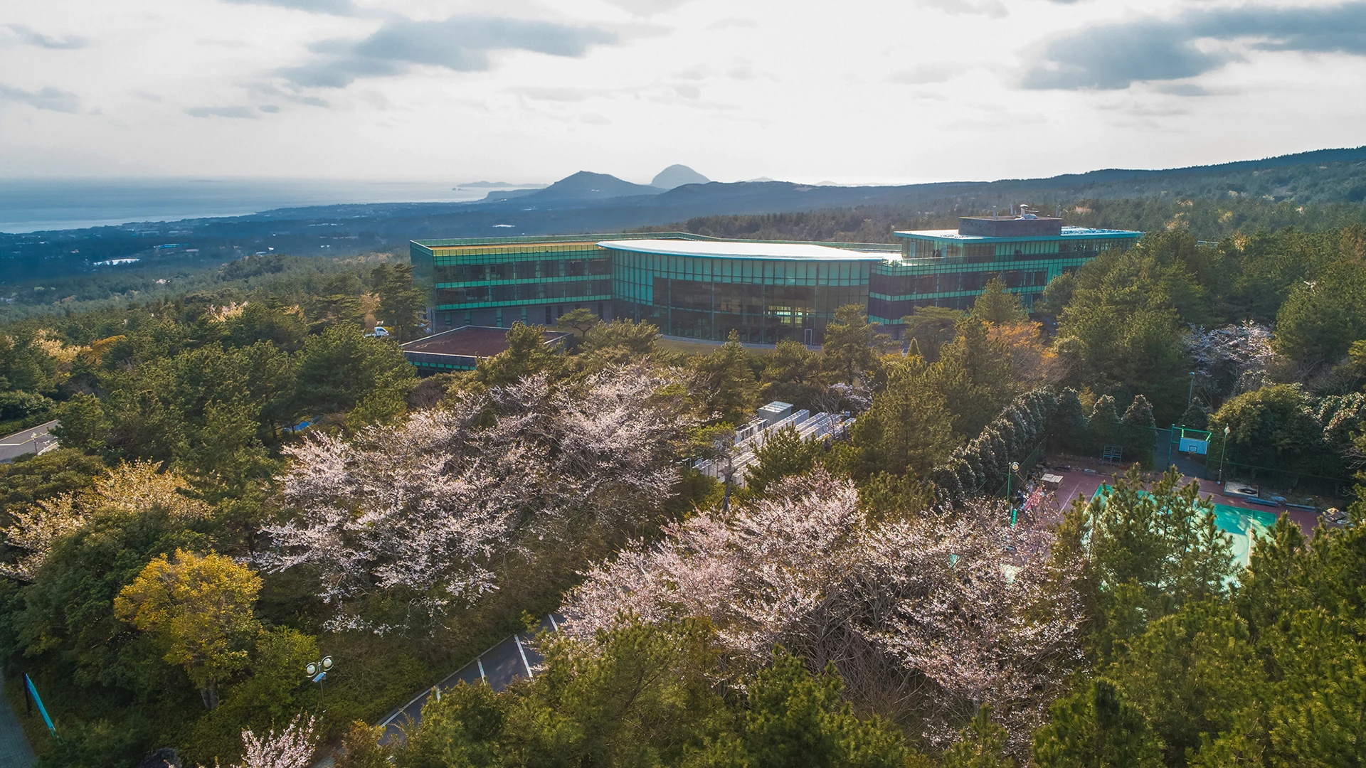 WE Hotel Jeju in the forested mid-mountain region.