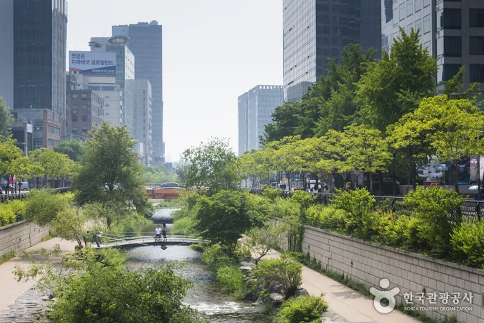Real Korea travel scene related to Where to stay in Seoul: choose the trip you do not want to make when you are tired 3